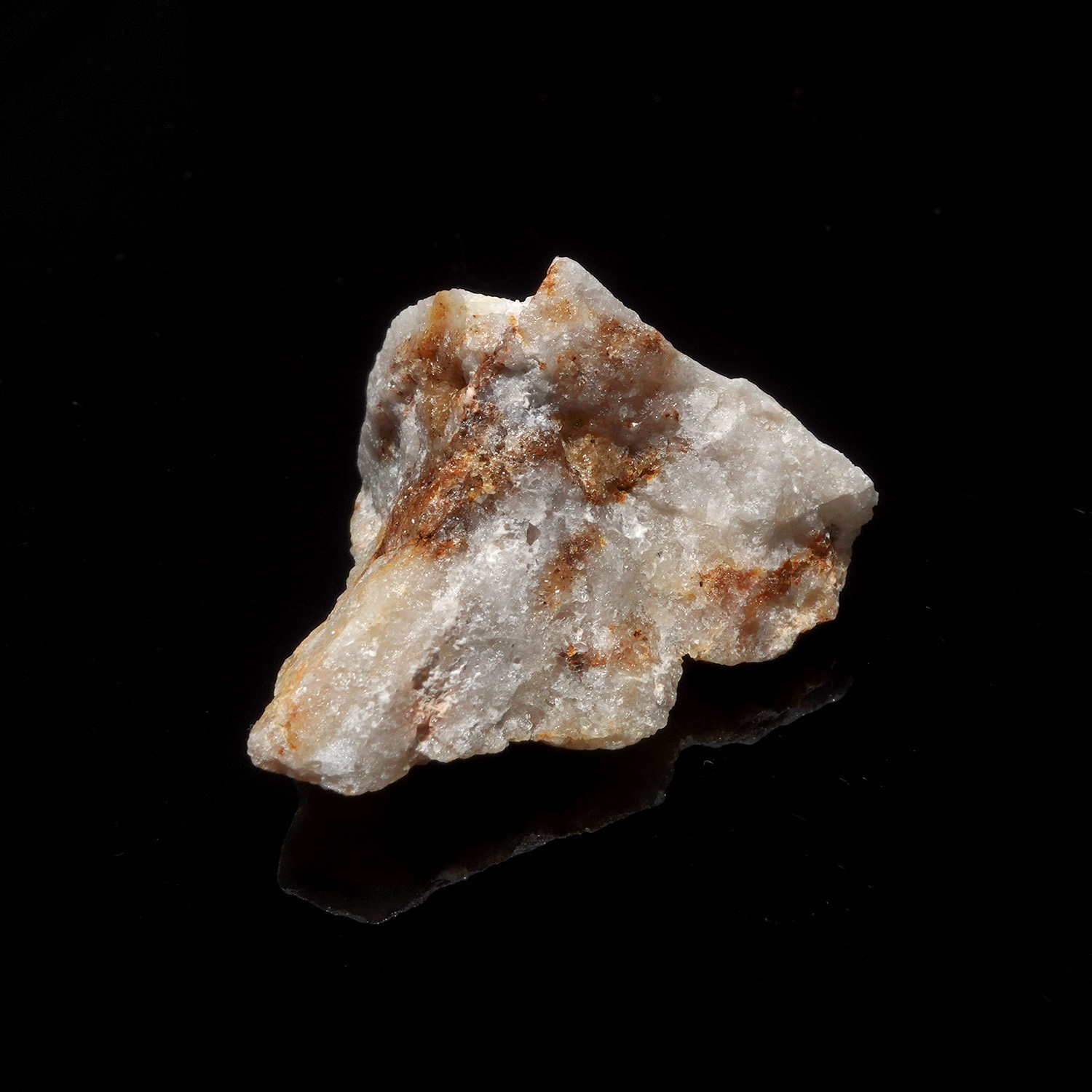 蜂蜜奶油阿賽斯特萊 (15g-253-2)